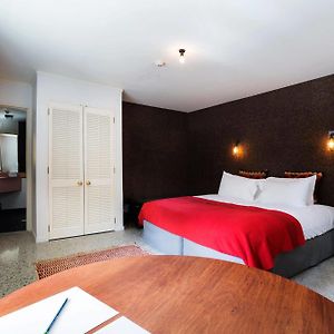 Pokój typu standard z łóżkiem king-size